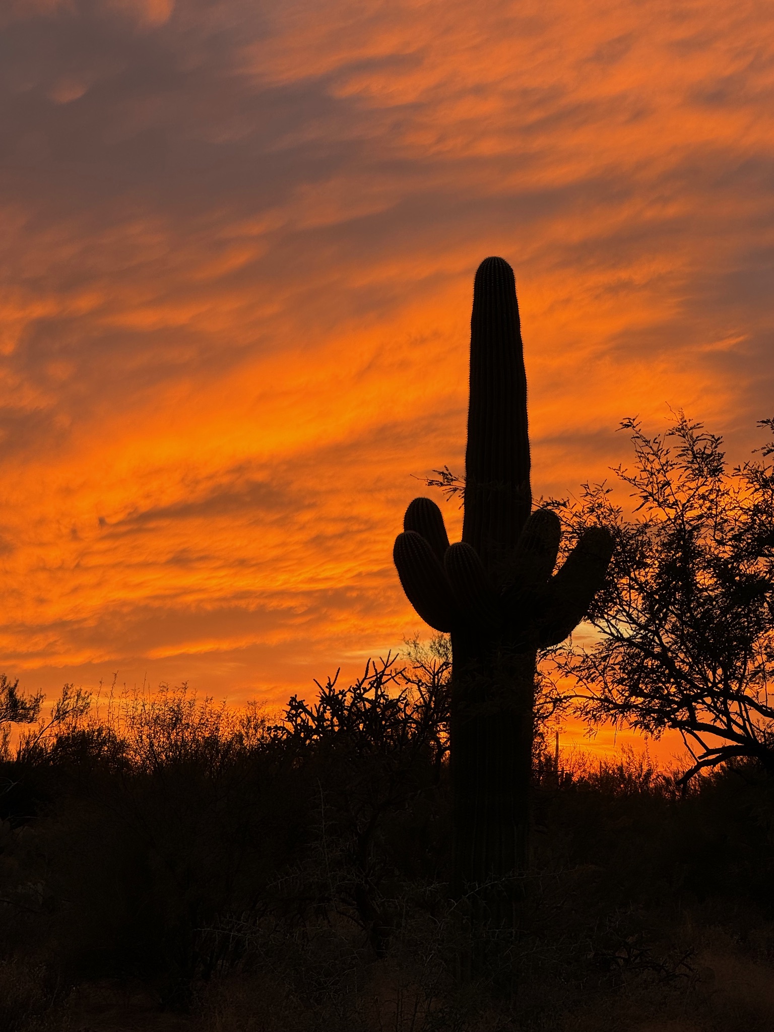 Desert sunset over the ranch